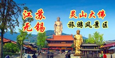 亚洲清纯中文字幕江苏无锡灵山大佛旅游风景区