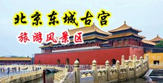 啊啊使劲日骚逼视频中国北京-东城古宫旅游风景区